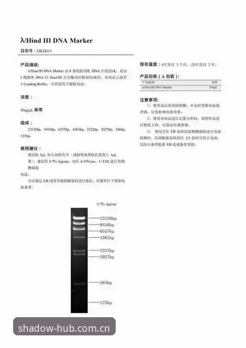 雷吉亚纳引援深度评测：数据光环下的奥格贝德，能否经得起幻影体育镜头后的真相检验？